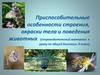 Приспособительные особенности строения, окраски тела и поведения животных