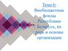 Госбюджет. Внебюджетные фонды.  Тема 6