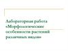 Морфологические особенности растений различных видов