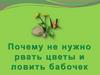 Почему мы не нужно рвать цветы и ловить бабочек (окружающий мир, 1 класс)