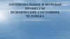 Эмоциональные и волевые процессы. Психические состояния человека
