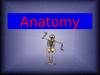 Anatomy. The organism as a whole