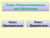 Отдел покрытосеменные, или цветковые. Класс однодольные. Класс двудольные