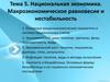 Национальная экономика. Макроэкономическое равновесие и нестабильность