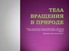 Тела вращения в природе
