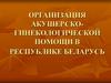 Организация акушерско-гинекологической помощи в Республике Беларусь
