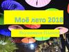 Моё лето 2018