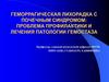 Геморрагическая лихорадка с почечным синдромом: проблема профилактики и лечения патологии гемостаза