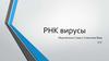 РНК вирусы