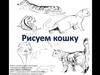 Рисуем кошку