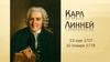 Карл Линней (23 мая 1707 10 января 1778)