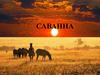 Природная зона саванн