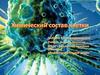 Химический состав клетки. Элементы, наиболее распространённые в живых организмах