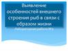 Особенности внешнего строения рыб в связи с образом их жизни