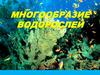 Многообразие водорослей