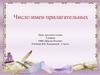 Число имен прилагательных