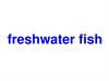 Freshwater fish