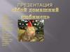 Мой домашний любимец