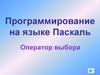 Программирование на языке Паскаль. Оператор выбора