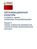 Теория спиральной динамики как способ изучения организационной культуры. Лекция 3