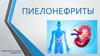 Пиелонефриты