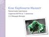 Клас карбонати-малахіт
