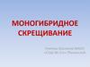 Моногибридное скрещивание. Задача