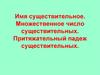 Имя существительное. Множественное число существительных. Притяжательный падеж существительных