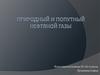 Природный и попутный нефтяной газы
