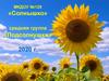 МКДОУ №129 «Солнышко», средняя группа «Подсолнушки»