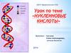 Нуклеиновые кислоты