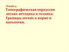 Топографическая перкуссия легких методика и техника. Границы легких в норме и патологии