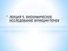 Биохимическое исследование функции почек