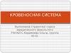 Кровеносная система