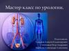 Мастер класс по урологии