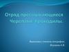 Отряд пресмыкающиеся. Черепахи. Крокодилы