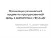 Организация развивающей предметно-пространственной среды в соответствии с ФГОС ДО