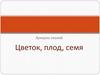 Ярмарка знаний. Цветок, плод, семя. 6 класс