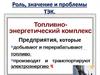 Роль, значение и проблемы ТЭК.  9 класс