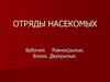 Отряды насекомых. Бабочки. Равнокрылые. Блохи. Двукрылые