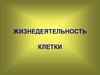 Жизнедеятельность клетки