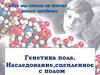 Генетика пола. Наследование,сцепленное с полом