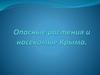Опасные растения и насекомые Крыма