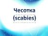 Чесотка (scabies)