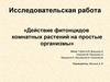 Действие фитонцидов комнатных растений на простые организмы