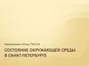 Состояние Окружающей среды в Санкт-Петербурге