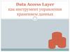 Data Access Layer как инструмент управления хранением данных