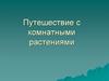 Путешествие с комнатными растениями
