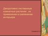 Декоративно-лиственные комнатные растения, их применение в озеленении интерьера
