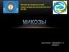 Микозы. Общие сведения об эпидемиологии и этиологии микозов